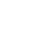 Obsession du pionnier