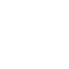 Cavapoo Cavoodle Capoodle Dog