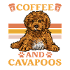 Cavapoo Cavoodle Capoodle Chien