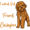 Cavapoo Cavoodle Capoodle Dog