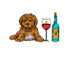 Cavapoo Cavoodle Capoodle Dog