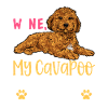 Cavapoo Cavoodle Capoodle Dog