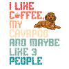 Cavapoo Cavoodle Capoodle Chien