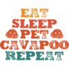 Cavapoo Cavoodle Capoodle Chien
