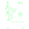 Cacti Desert Garden