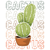 Cacti Spines Nature Holiday