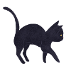 schwarze Katze