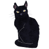 chat noir
