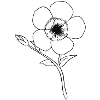 minimalist flower