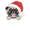 Pug Merry Christmas