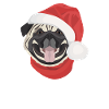 Pug Merry Christmas