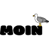 MOIN Möwe