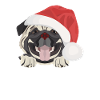 Pug Merry Christmas