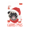Carlin Joyeux Noël