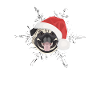 Carlin Joyeux Noël