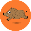 hunting hunted wild boar hunter
