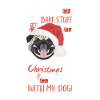 Carlin Joyeux Noël