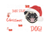 Carlin Joyeux Noël