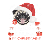 Mops Weihnachtsmarkt
