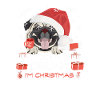 Mops Weihnachtsmarkt