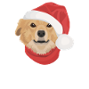 Nova Scotia Retriever Merry Christmas