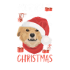 Nova Scotia Retriever Merry Christmas
