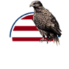 Vintage American Flag Buzzard Vulture Patriotic