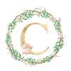 Customizable MonogramO