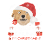 Nova Scotia Retriever Weihnachtsmarkt