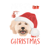 Caniche Joyeux Noël