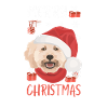 Caniche Joyeux Noël