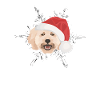 Pudel Frohe Weihnachten