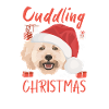 Caniche Joyeux Noël