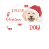 Caniche Joyeux Noël