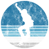 Skateboard Skateboarder Skater Skate Skateing