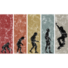 Evolution Skateboarder Skateboard Skater Skate