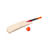 Education Is Important But Cricket Is Importanter