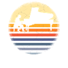 Piano Musician