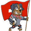 Schweizer Fan Hund