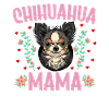 Chihuahua Mama Chihuahua dog