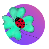 Clover and its ladybug