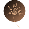 flower on circle