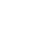 Zwickau mei Haamit
