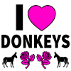 Donkey