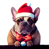 Français Bulldog Christmas - Frenchie