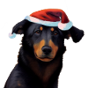 Beauceron Christmas - Beauceron