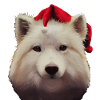Samoyed Christmas - Samoyed