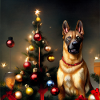Malinois Weihnachten - Malinois