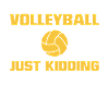 Volleyball volley serve volleyball player