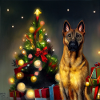 Noël malinois - Malinois